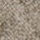 CASHMERE 3 Fossil